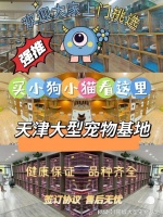 天津买狗买猫的地方在哪里?这儿有实体店可选，放心大胆挑吧