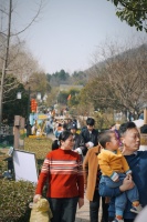 消费券撬动“马上有福”新场景 不老村春节假期接待游客6.9万人次