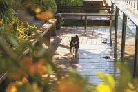 2025大众点评“必住榜”揭晓 宁波“宠物友好”主题全国第一