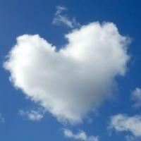 倭蜂猴简介 倭蜂猴形态特征 倭蜂猴的生长环境→买购APP