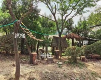 松鼠猴展区大改造