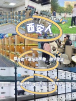 西安哪里买宠物靠谱安全？这里实体店选购宠物，安全更值得信赖