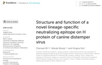 兽医所宠物团队在犬瘟热病毒抗原变异和抗体中和机制方面取得进展