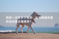 狗狗一次吃多少狗粮，如何根据体重和活动量合理喂养？