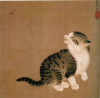 宠物猫绘画主题怎么写