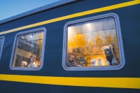 新春中国行丨“携宠团聚”成更多中国人过年新选择