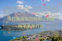 今日萌宠知识如何让狗狗间不争宠打架