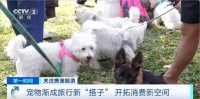 “携宠旅游”涌向年节市场 开拓消费新空间