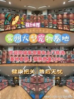 常州买狗狗应该去哪里？这里有你想要的还能亲自挑选，安全可靠