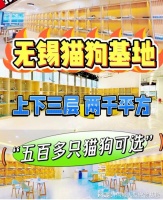 无锡哪里有买狗买猫的市场?这里安全可靠还能实地选宠物不虚此行