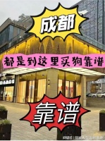 成都哪里正规犬舍猫舍基地?包你安心能当面挑选自己心仪的宠物