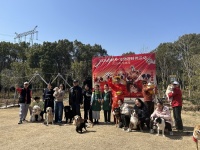 钻“钱眼”、过“元宝桥……闵行这场“宠物迎财神”活动萌翻了