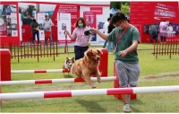 第二届上海市文明养宠嘉年华在滨江森林公园举行