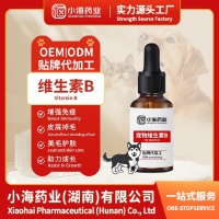 内江宠物维生素B代工OEM联系方式,小海药业（湖南）