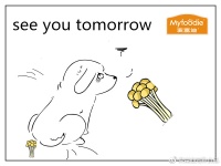 狗狗肠胃的健身操之纤维素