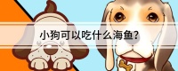 小狗可以吃什么海鱼？