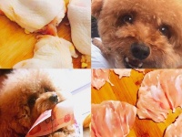 【步骤图】宠物零食 鸡肉干的做法