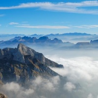 双塔食品按用途分家用餐饮、食品工业配料、健康营养、宠物/工业、循环经济五大类，覆