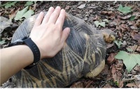尝试与动物互动 开展龟龟“魔爪”小试验