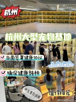 杭州哪里可以买到拉布拉多犬？杭州这里拉布拉多犬品相好，选择性多！