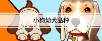 小狗幼犬品种