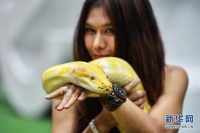 泰国曼谷上演多彩宠物秀图片频道