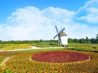 花海、萌宠、游乐园…武汉向北40分钟，发现遛娃好去处