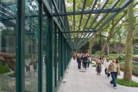 万羽翩跹迎新春，重庆动物园鸟类展区升级亮相