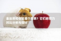 金丝熊和仓鼠哪个聪明？它们的智力对比分析与探讨