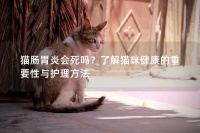 猫肠胃炎会死吗？了解猫咪健康的重要性与护理方法-宠智灵