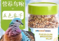 跑来跑去鹦鹉粮：解锁鹦鹉的美味营养宝库