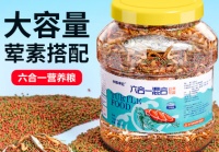 半紫半红龟粮：守护龟龟的健康成长之路