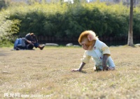 正宗袖珍石猴多少钱一只，长不大的宠物石猴在哪里有卖