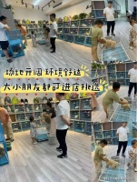广州买宠物猫狗哪里比较安全，这里实体老店敢质保每只宠物都健康。