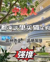 宁波哪里有正规宠物基地?这里专业安全可亲自挑选宠物