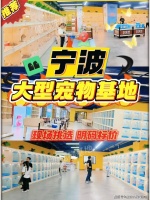 宁波哪里可以买到金毛犬？宁波这里金毛犬品相好，选择性多！