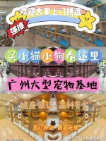 广州哪里有正规宠物基地?这里专业安全可亲自挑选宠物