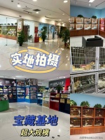 深圳宠物市场在哪里，这里实体老店敢质保每只宠物都健康。