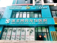 2026年宠物医院推荐：瑞派豫华宠物医院管理有限公司，全科诊疗守护宠物健康