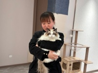 物业免费上门喂猫狗，武汉一小区假期替业主照料留守宠物，业主：比家人还周到