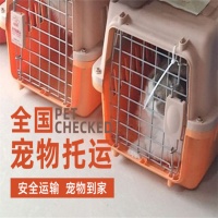宠物运输宠物狗狗托运专车托运宠物