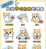 宠物狗狗就吃肉不吃饭应该怎么办？