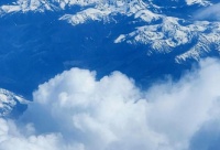 宠物猫没猫粮了吃什么(猫没粮吃)