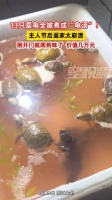 痛心！节后回家一开门，他养的13只宠物龟竟被煮成了“龟汤”，数万元心血全没了