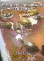 男子节后返家发现13只宠物龟全被“煮”了！价值近2万