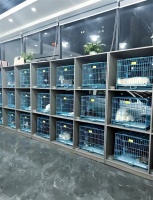 技术驱动效率 启炫无人系统让宠物闪电仓 “自运营”