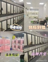 贵阳买金毛犬哪里有实体店？这里性价比高还能亲临现场挑选宠物【官方店铺】