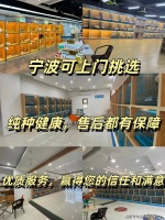 宁波买英短蓝猫去哪里买比较好？宁波这里是选购英短蓝猫的好去处