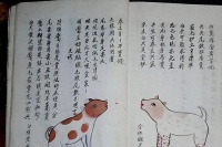 “挑狗术”：原来老祖宗挑狗是有口诀的，你还不知道？