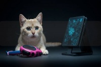 宠物护理机构如何利用智能技术提升服务质量与客户满意度